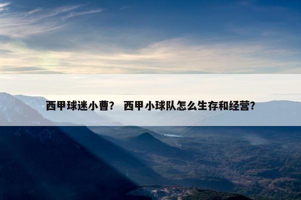 西甲球迷小曹？ 西甲小球队怎么生存和经营？