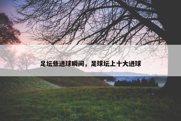 足坛些进球瞬间，足球坛上十大进球
