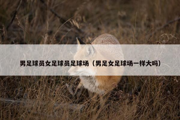男足球员女足球员足球场（男足女足球场一样大吗）