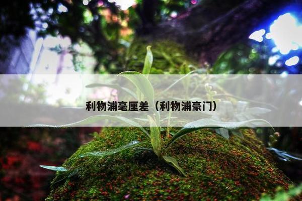 利物浦毫厘差（利物浦豪门）