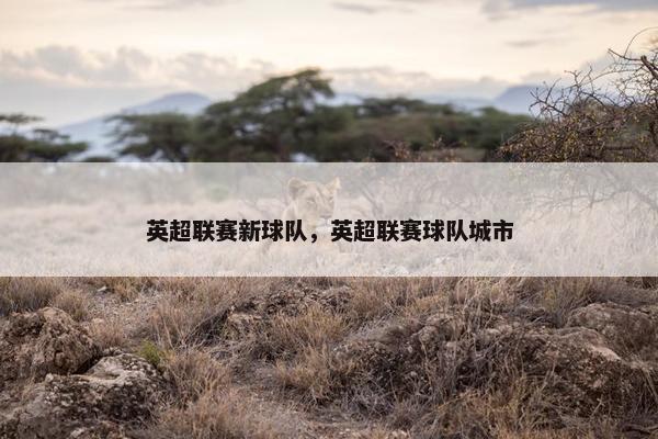 英超联赛新球队，英超联赛球队城市