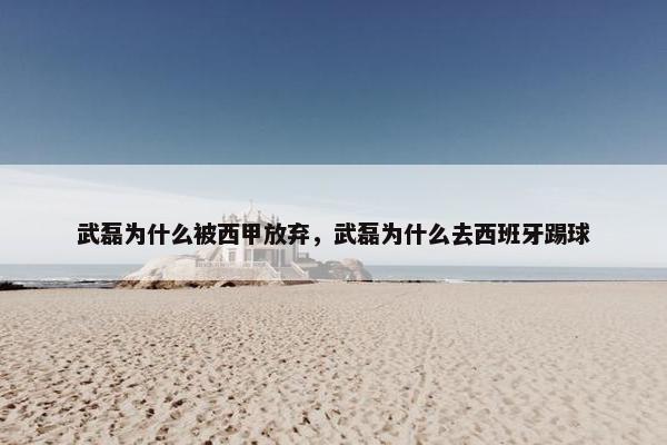 武磊为什么被西甲放弃，武磊为什么去西班牙踢球