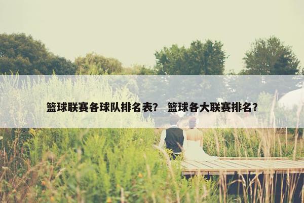 篮球联赛各球队排名表？ 篮球各大联赛排名？