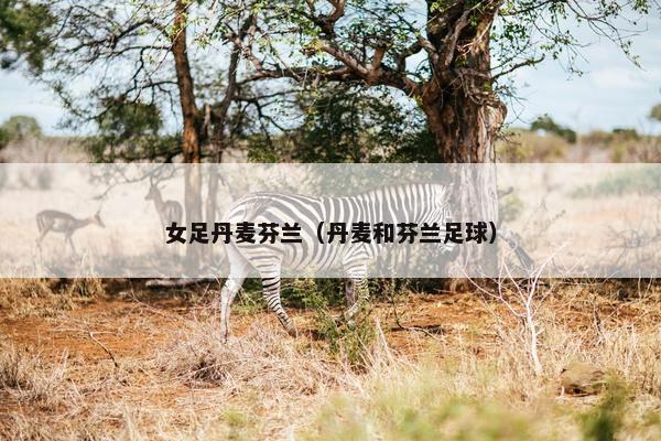 女足丹麦芬兰（丹麦和芬兰足球）