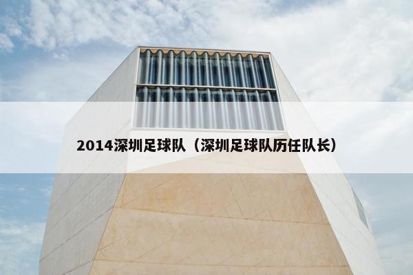 2014深圳足球队（深圳足球队历任队长）