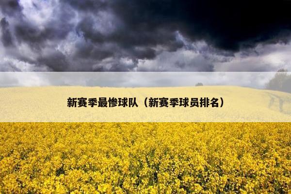 新赛季最惨球队（新赛季球员排名）