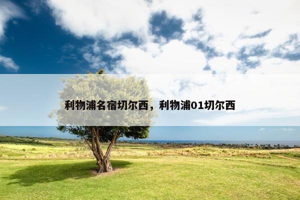 利物浦名宿切尔西，利物浦01切尔西