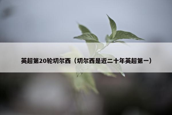英超第20轮切尔西（切尔西是近二十年英超第一）