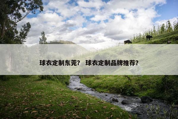 球衣定制东莞？ 球衣定制品牌推荐？