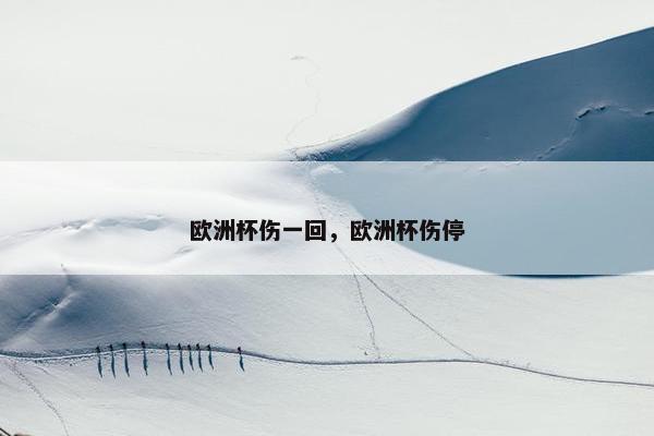 欧洲杯伤一回，欧洲杯伤停