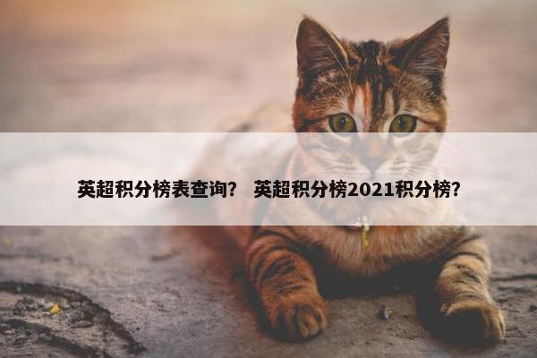 英超积分榜表查询？ 英超积分榜2021积分榜？