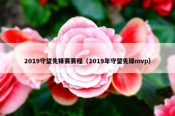 2019守望先锋赛赛程（2019年守望先锋mvp）