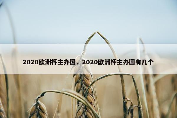 2020欧洲杯主办国，2020欧洲杯主办国有几个