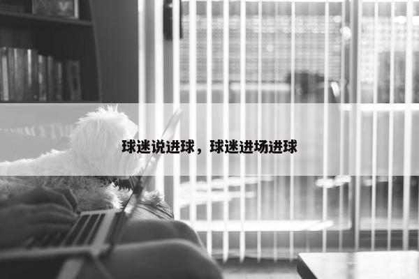 球迷说进球，球迷进场进球