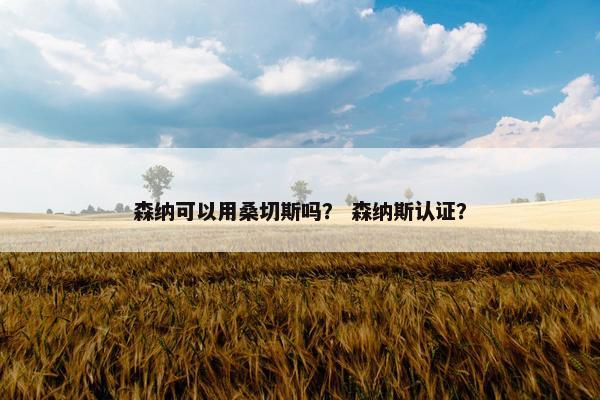 森纳可以用桑切斯吗？ 森纳斯认证？