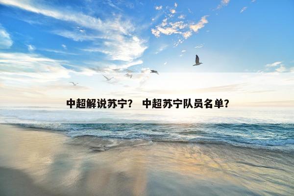 中超解说苏宁？ 中超苏宁队员名单？