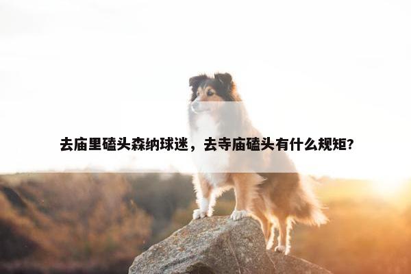 去庙里磕头森纳球迷，去寺庙磕头有什么规矩?