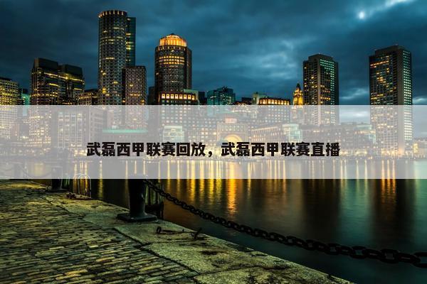 武磊西甲联赛回放，武磊西甲联赛直播