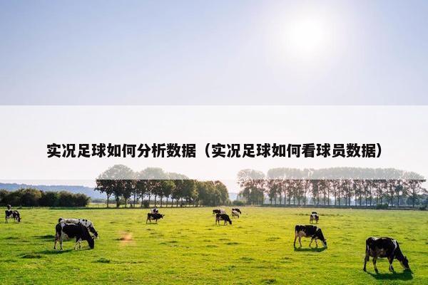 实况足球如何分析数据（实况足球如何看球员数据）
