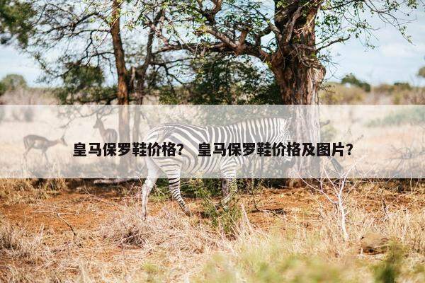 皇马保罗鞋价格？ 皇马保罗鞋价格及图片？