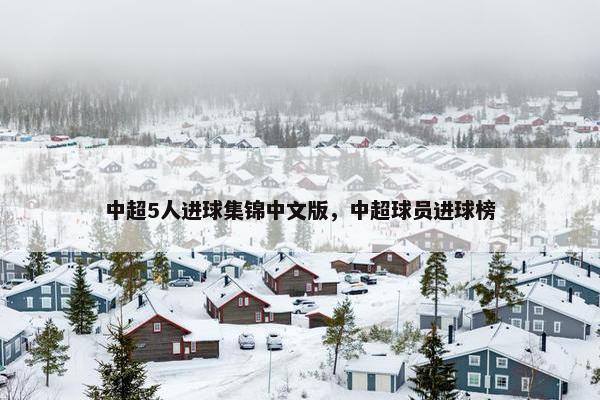中超5人进球集锦中文版，中超球员进球榜