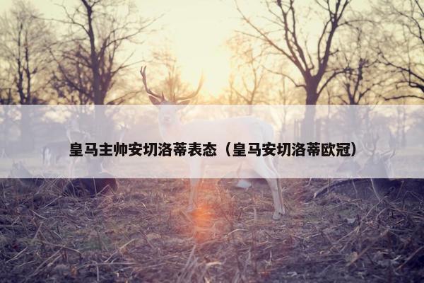 皇马主帅安切洛蒂表态（皇马安切洛蒂欧冠）