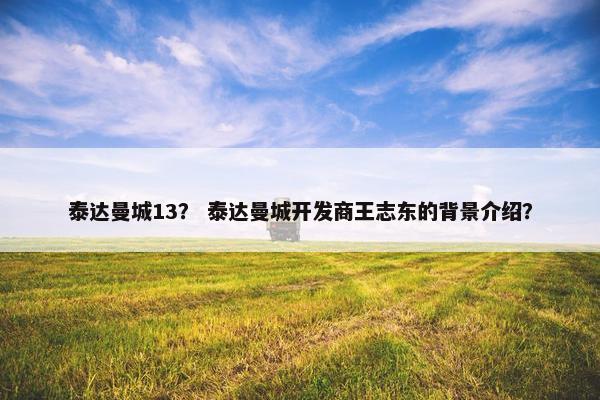 泰达曼城13？ 泰达曼城开发商王志东的背景介绍？