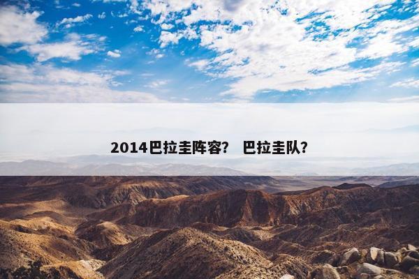 2014巴拉圭阵容？ 巴拉圭队？