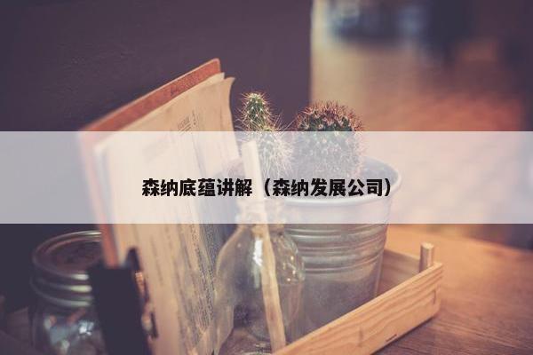 森纳底蕴讲解（森纳发展公司）