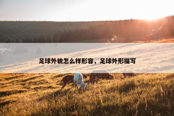 足球外貌怎么样形容，足球外形描写