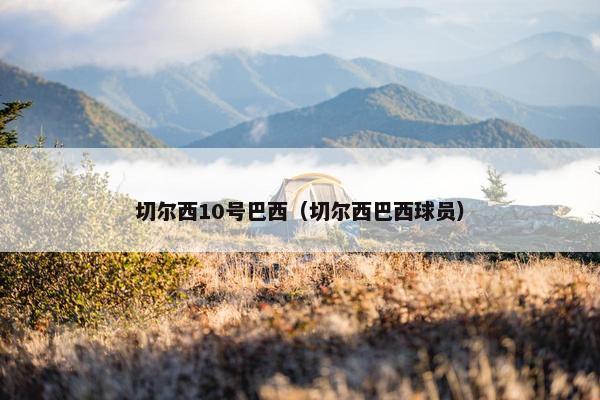 切尔西10号巴西（切尔西巴西球员）