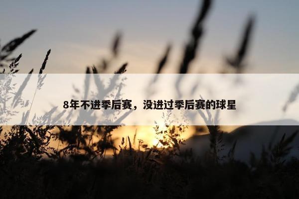 8年不进季后赛，没进过季后赛的球星