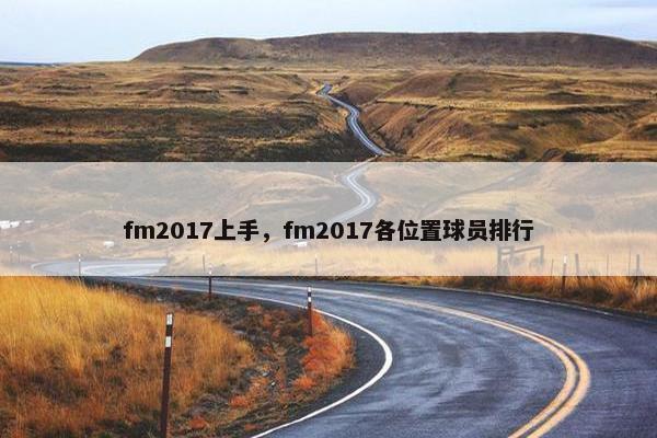 fm2017上手，fm2017各位置球员排行