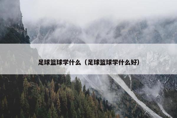 足球篮球学什么（足球篮球学什么好）