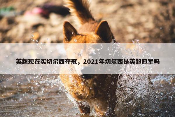 英超现在买切尔西夺冠，2021年切尔西是英超冠军吗