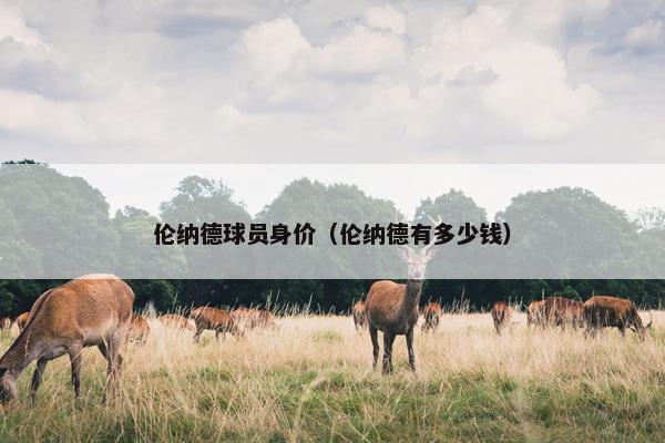 伦纳德球员身价（伦纳德有多少钱）