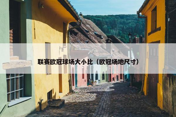 联赛欧冠球场大小比（欧冠场地尺寸）