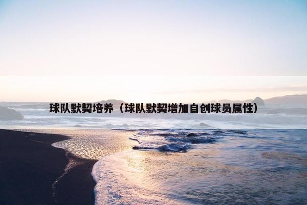 球队默契培养（球队默契增加自创球员属性）