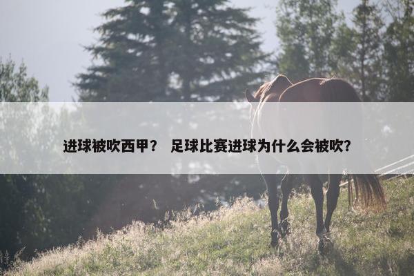 进球被吹西甲？ 足球比赛进球为什么会被吹？