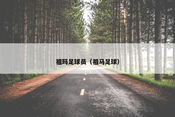祖玛足球员（祖马足球）