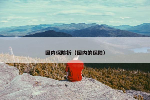 国内保险析（国内的保险）