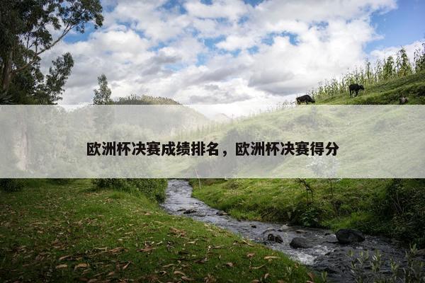 欧洲杯决赛成绩排名，欧洲杯决赛得分