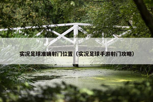 实况足球准确射门位置（实况足球手游射门攻略）