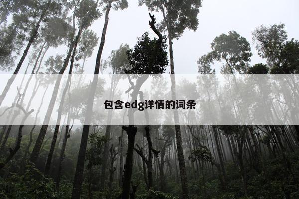 包含edg详情的词条