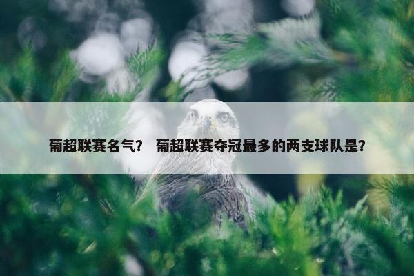 葡超联赛名气？ 葡超联赛夺冠最多的两支球队是？