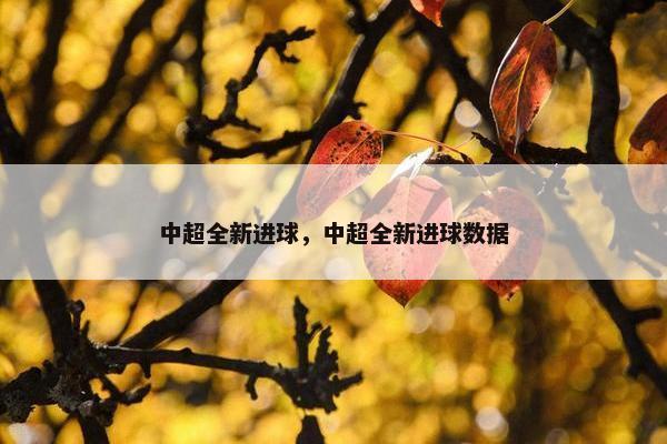 中超全新进球，中超全新进球数据