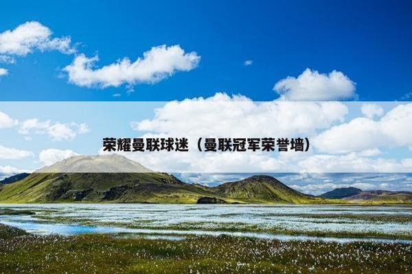 荣耀曼联球迷（曼联冠军荣誉墙）
