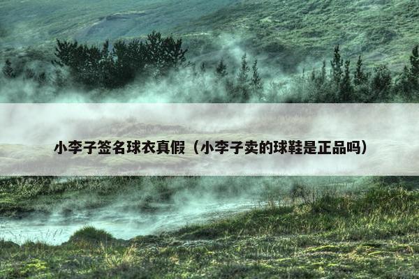 小李子签名球衣真假（小李子卖的球鞋是正品吗）
