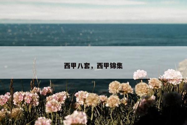 西甲八套，西甲锦集