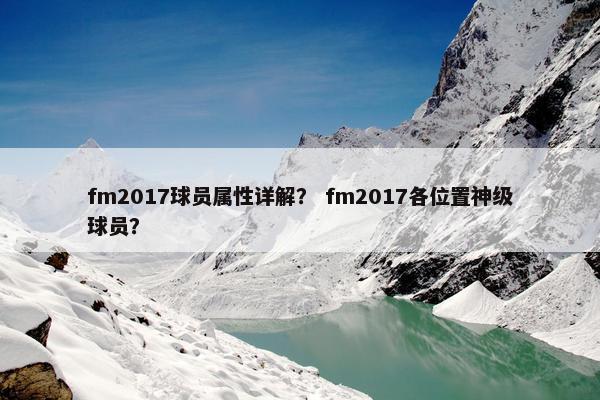 fm2017球员属性详解？ fm2017各位置神级球员？